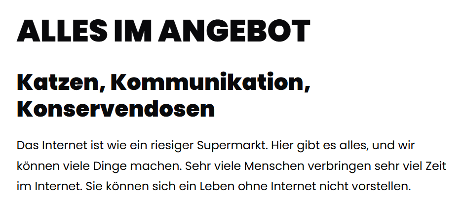 Ein kurze Ausschnitt aus dem Einfache-Sprache-Text